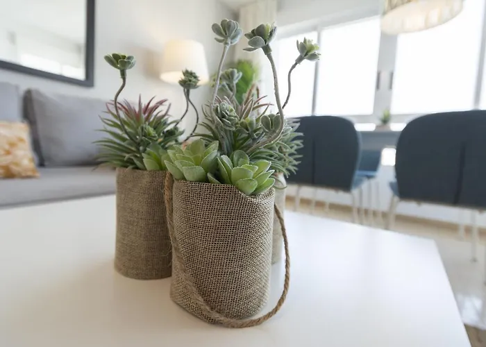 Ag Terranova * Playa de Gandia