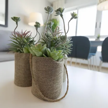 Ag Terranova * Playa de Gandia