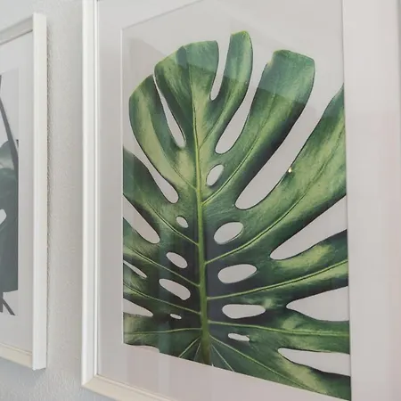 Ag Terranova * Playa de Gandia